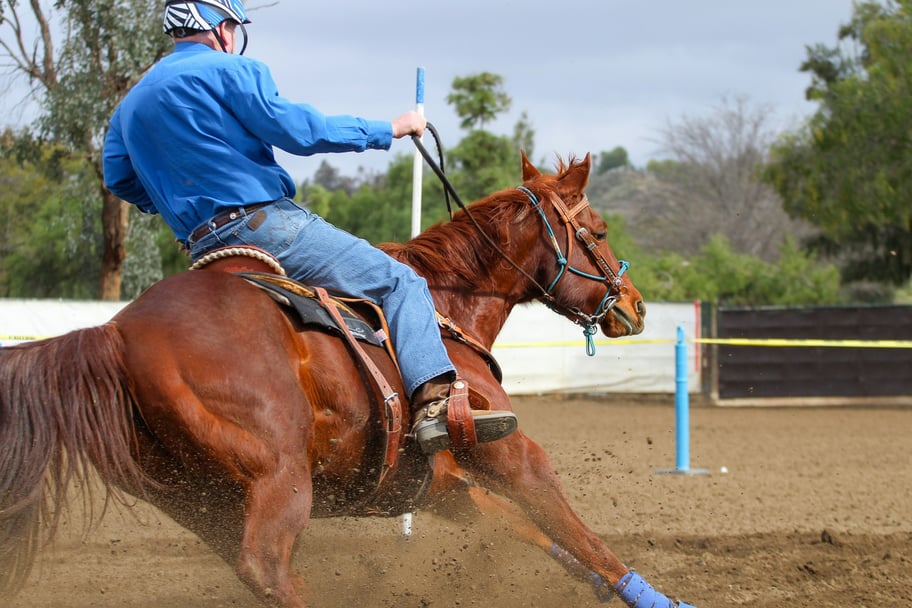 Amacron Equine