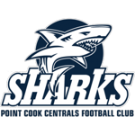 drive logo