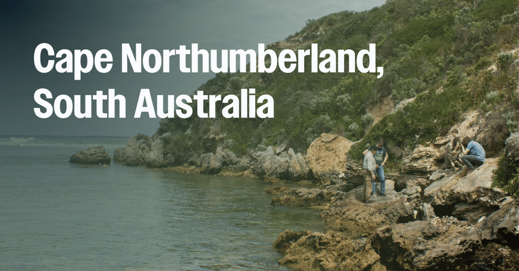 Cape Northumberland