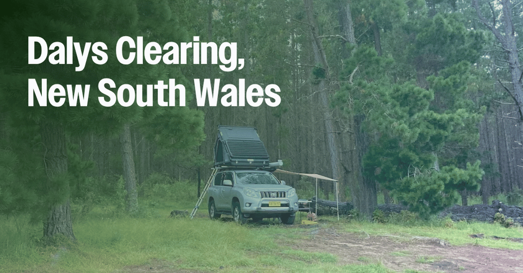 Dalys Clearing