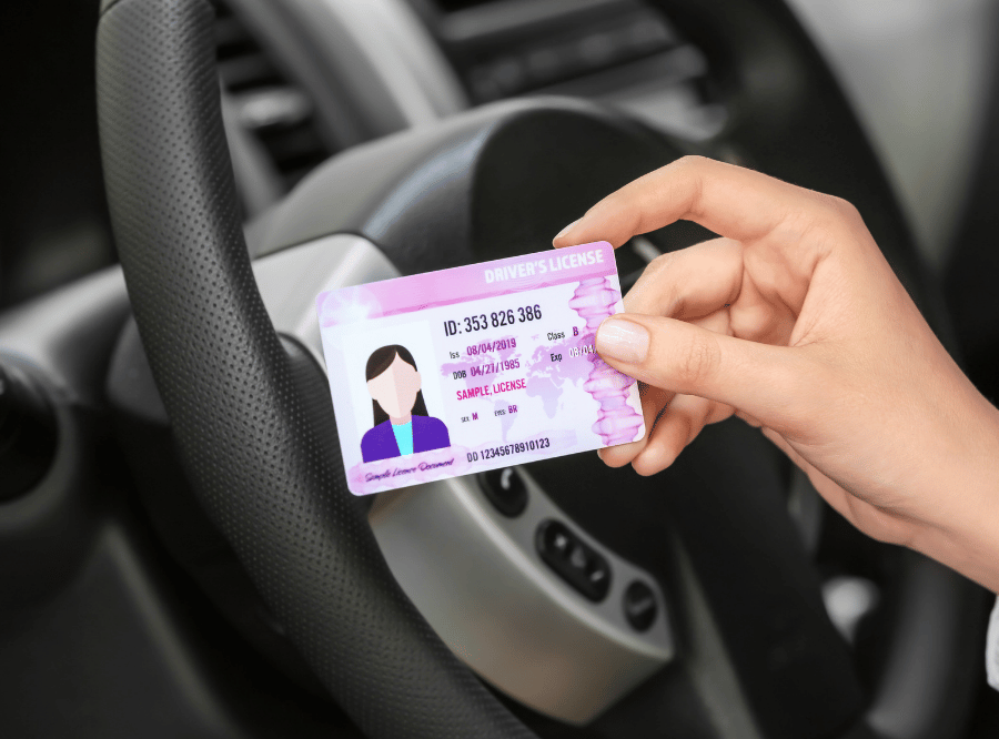 drivers license id  (1)